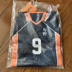 ハイキュー