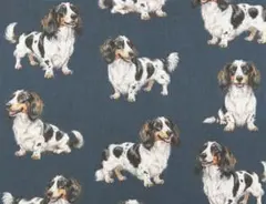 【ゆきちゃん限定】X2641-1 ダックス パイボールド 紺 コットン生地 1m