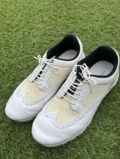 Item thumbnail for item 346c8918-06b4-4d88-b64a-347ccf02b7e2