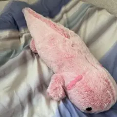 ウーパールーパーぬいぐるみ