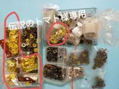 Item thumbnail for item 26636cf7-3dd3-4c17-b80b-28005b0214ca