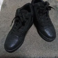 Item thumbnail for item 6174cc17-5301-4c05-8f9f-481894deb9d3