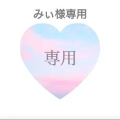 みぃ様専用ページ メタルグレー/白 ラベンダー/白