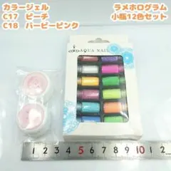 ピンク　ネイルジェル　ラメパウダー　セット　つけ爪　アクアネイル