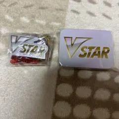 アクリル製Vstarマーカー ダメカンケース アクリルダメカンのサムネイル