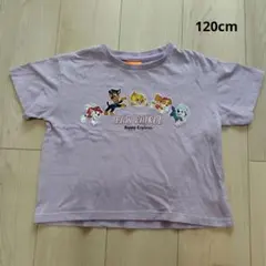 PAW Patrol Tシャツ パウパトロール ラベンダー　120cmのサムネイル