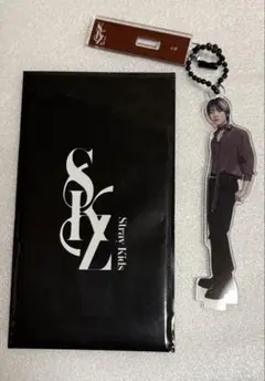 スキズ POPUPアクスタ straykids アイエン クリスマス