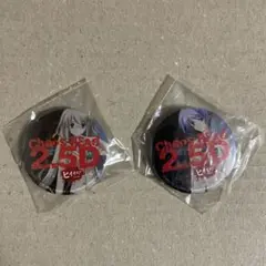 Chaos;Head 2.5D 缶バッジ 2個セット