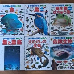 【非売品】B1 特大両面ポスター ドラえもん のび太の月面探査記 非売品】B1 特大両面ポスター ドラえもん のび太の月面探査記 - メルカリ