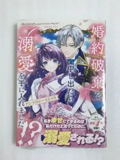 «新品、シュリンク付き»婚約破棄を申し出たら溺愛を手に入れました!?