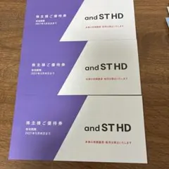株式会社アンドエスティHD andST HD 株主様ご優待券 4,500円分のサムネイル