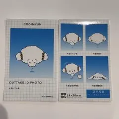 サンリオ 証明写真風スマロイド