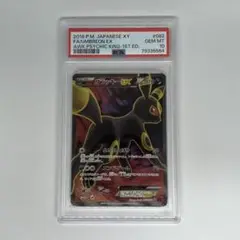 2025年最新】ブラッキーEX SR xy10 めざめる超王の人気アイテム