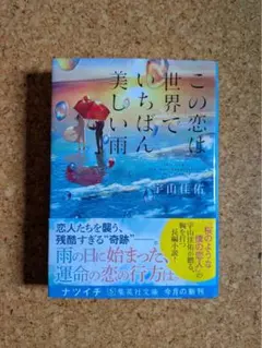この恋は世界でいちばん美しい雨 宇山佳佑 集英社文庫