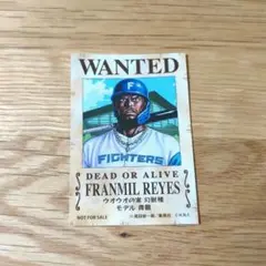 ファイターズ ワンピース 手配書似顔絵ステッカー レイエス