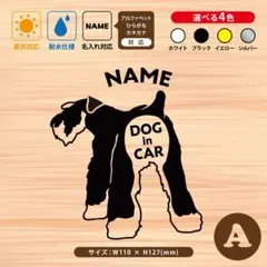 みるみる★プロフ必読★様専用