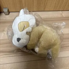 ポケモン ぬいぐるみ もっちり Pokémon Sleep おやすみ カラカラのサムネイル