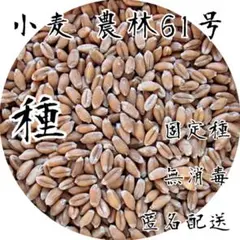 アリエル様 リクエスト 3点 まとめ商品