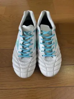 asics DS LIGHT PRO ミズノゼログライドシューレース130 - メルカリ