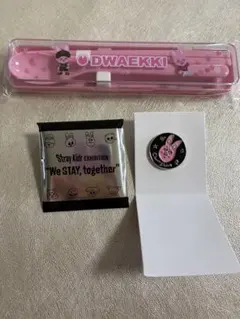 Stray Kids SKZOO DWAEKKI チャンビン