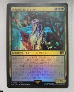 団結のドミナリア統率者 foil 意志を縛る者、ディハーダ 日本語 1枚
