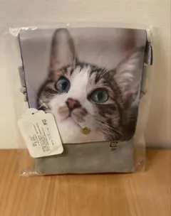 キジトラ猫プリント ショルダーバッグ グレー 後ろポケット有り