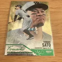 Item thumbnail for item ea00f574-74ec-49b6-b48e-127aa319b4a3