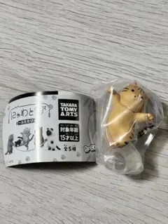 にゃわとび　ふたたび　にゃんぷ 猫フィギュア