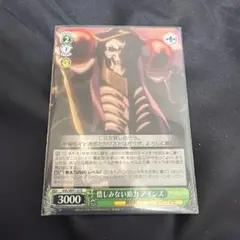 ヴァイスシュヴァルツ 借しみない助力 アインズ