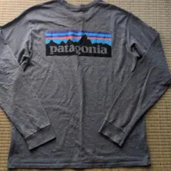 patagonia グレー 長袖カットソーXS