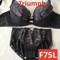 新品未使用 トリンプ Ｆ７５ 脇深カッブブラ＆ショーツ セットのサムネイル
