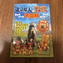 初版 北京原人&原人っちのたまごっち 大百科 攻略本 - メルカリ