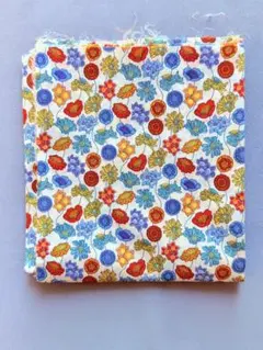 Item thumbnail for item 20c4b51d-80da-451f-91b7-4a6fca43921a