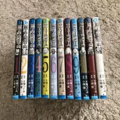 Item thumbnail for item ddab9da2-9255-405b-b1d3-b4ae669bc91f