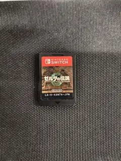 ゼルダの伝説 ティアーズ オブ ザ キングダムソフトのみ