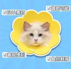 エリザベスカラー 猫用 犬用 ソフト Mイエロー シンプル U