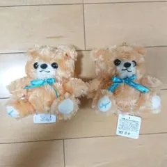 アピナ限定 テディベア くま ぬいぐるみ まとめ売りのサムネイル