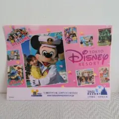東京ディズニーリゾート クリアファイル