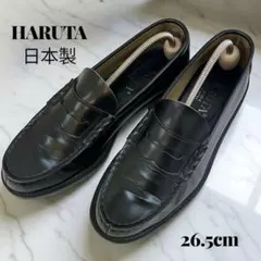 Item thumbnail for item 2f983a0c-c4cc-4902-a9a2-b035d3404544