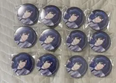 うたプリ うたの☆プリンスさまっ♪ASSDMS 缶バッジ 瑛二 鳳瑛二