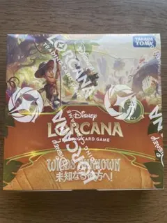 新品 ロルカナ WILDS UNKNOWN 未知なる彼方へ! 2box - メルカリ