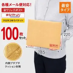 新品 クッション封筒 100枚 梱包材 A4 ネコポス対応のサムネイル