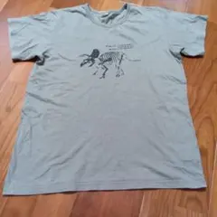 devirock✨️Tシャツ／160cm／恐竜化石柄／子供服／茶系カーキ色