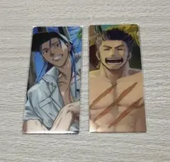 FGO 最終再臨展 編成画面風カード 水着 クーフーリン 2枚 フェルグス