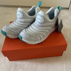 NIKEダイナモフリー22.0