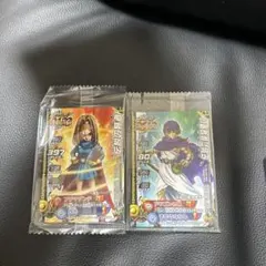 ドラゴンクエストモンスターバトルロードLEGEND 伝説のカード2種セット