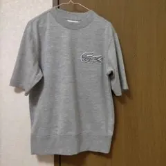 LACOSTE Tシャツ
