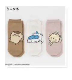 しまむら　ちいかわ　3足組スニーカーインソックス（23-25cm・ちいかわ）