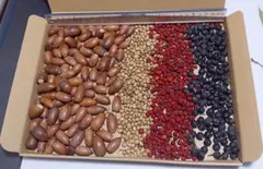 Item thumbnail for item f8b3c607-cff6-482a-bbb7-f4adb08f4b40