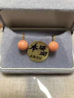 本珊瑚イヤリング